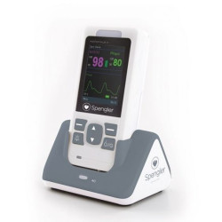 Master palm 3 sur son socle